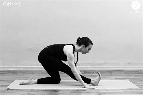 Parsvottasana Virasana – Kneeling pyramid pose | YOGEA | Innovative Yoga