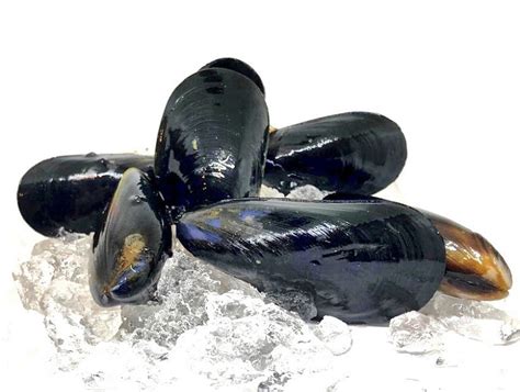 Black Mussels (Medium) - Something Fresh Guam | Saipan | Palau