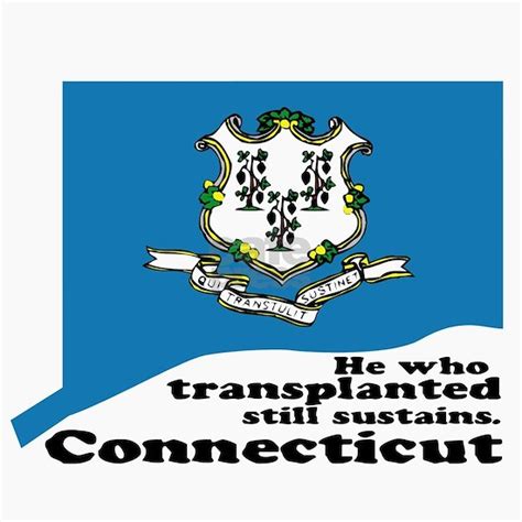 Connecticut State Motto Magnet by Literary License - CafePress