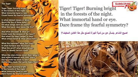 The tiger poem by William Blake شرح وترجمة قصيدة - YouTube