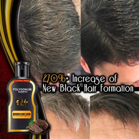 Reverse Grey Hair Darkening Shampoo – Harry Jean