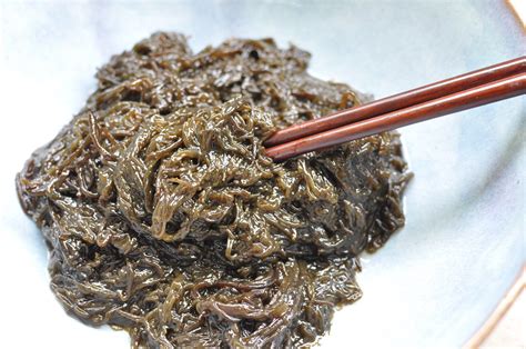 Scientists sequence the genome of popular Japanese seaweed - Earth.com