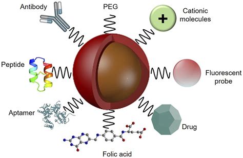 Review: Organic nanoparticle based active targeting for photodynamic therapy treatment of breast ...