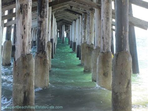 Newport Beach Pier in Newport Beach CA