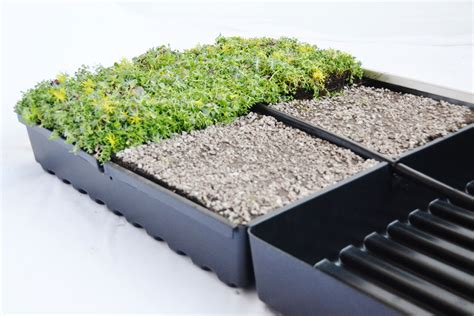 5 Green Roof Materials to Design the Perfect Green Roof