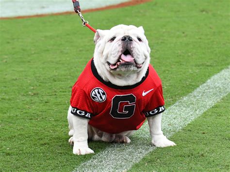 Bulldogs: Big time NFL draft prospect returns to Georgia in 2023