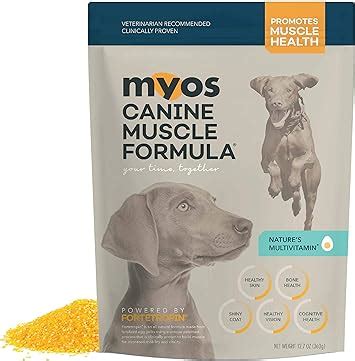 The 10 Best Dog Supplements To Gain Muscle