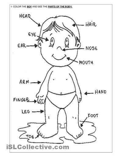 Body Parts Coloring Pages Preschool | Me/My body Theme | Pinterest ...