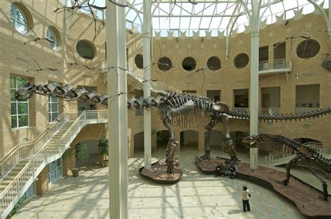 Fernbank Museum Of Natural History - Travel - Atlanta - Atlanta