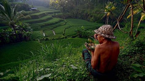 Menikmati Keindahan Pemandangan Sawah Terasering Ceking di Bali - Regional Liputan6.com