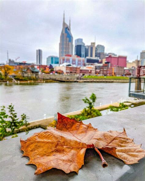 Fall in Tennessee Road Trip Itinerary - the Best Parks, Cities, Streets, & Festivals to See Fall ...