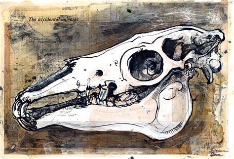 Duncan Cameron - Horse skull ink study www.duncancameron.org | Natural form art, Animal skulls ...