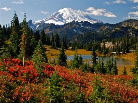 2022 Fall Foliage Peak Map: When To Expect Colorful Leaves In WA ...