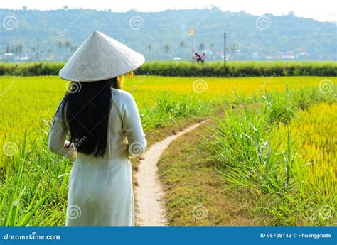 Vietnamese Woman Standing on the Rice Field Editorial Stock Photo - Image of farm, khmer: 95728143