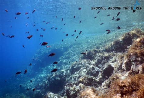 Snorkeling in Malta near Ghar Lapsi #malta #snorkeling Cool Places To ...