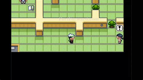 Pokemon Emerald Walkthrough Road to the Third Gym - Route 110