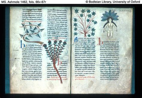 Bodleian Library: Western manuscripts to c. 1500: MS. Ashmole 1462 ...