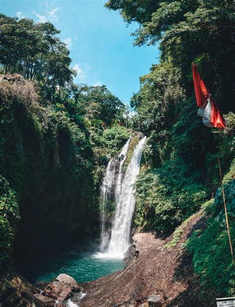 beautiful waterfall in green forest · Free Stock Photo