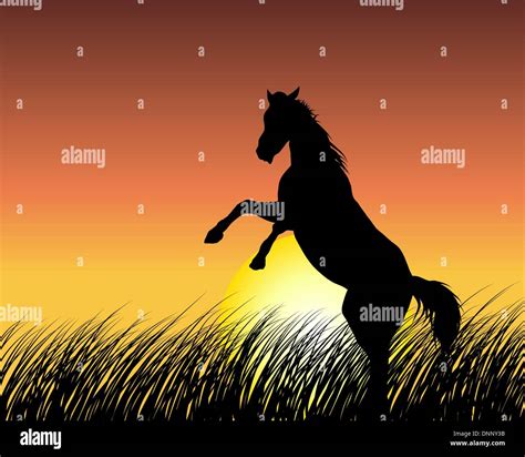 Horse silhouette on sunset background. Vector illustration Stock Vector ...