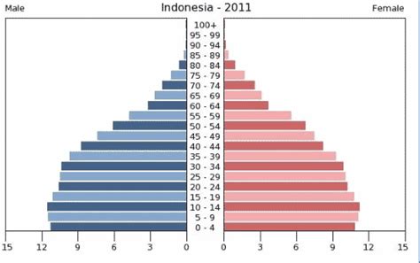 Piramida Penduduk - DUNIA PENDIDIKAN