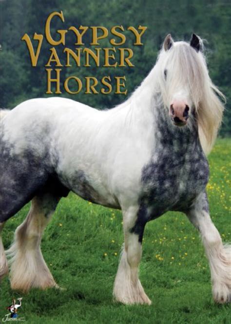 Gypsy Vanner Horse (2009) - Posters — The Movie Database (TMDB)