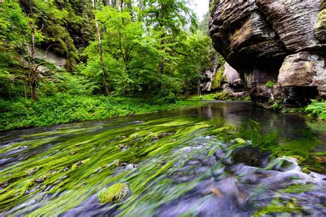 Hiking in Bohemian Switzerland National Park (2019 Guide) | NOMADasaurus