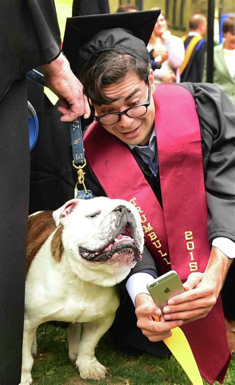 PHOTOS of Handsome Dan, Yale's Bulldog Mascot