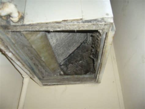 Prevent and Remove Mold from Your HVAC System with These Tips