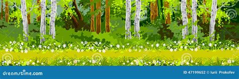 Pathway in the Forest Panorama Stock Vector - Illustration of serene, travel: 47199652