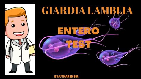 GIARDIA LAMBLIA// ENTERO TEST#microbiology #pathology #trending - YouTube