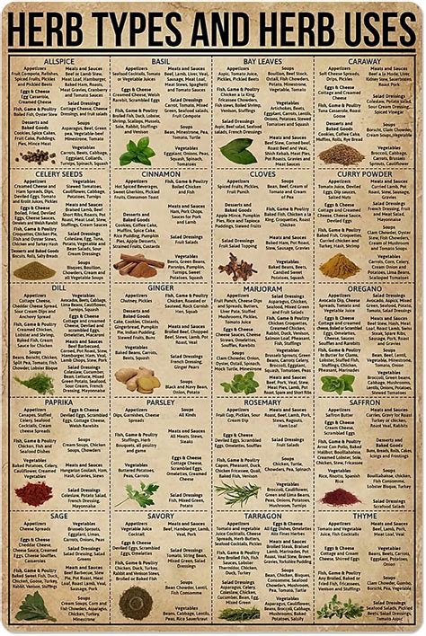 Herb Types and Herb Uses Tin Sign Knowledge Popular Science Poster Hospital School Farm Garden ...