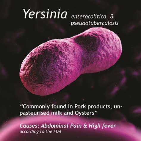 Yersinia pseudotuberculosis is a Gram-negative bacterium that causes ...