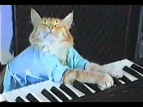 Charlie Schmidt's Keyboard Cat! - THE ORIGINAL! - YouTube