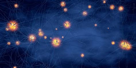 Is Multiple Sclerosis (MS) an Autoimmune Disease?