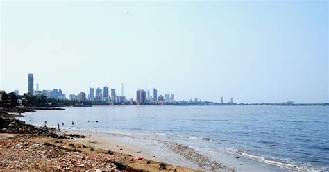 Floodgates To Come Up At Mumbai's Mahim Causeway To Prevent Flooding Of Mithi River | Curly Tales