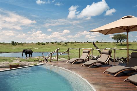 8 Best Hwange National Park Safari Tours, Zimbabwe | Go2Africa