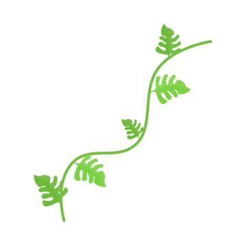 Jungle Plants PNG Transparent Images Free Download | Vector Files | Pngtree