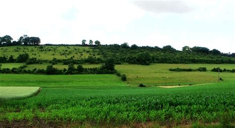 Normandy countryside | Explore grassrootsgroundswell's photo… | Flickr - Photo Sharing!