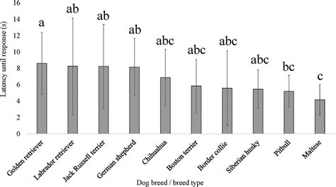 Frontiers | Pain sensitivity differs between dog breeds but not in the way veterinarians believe