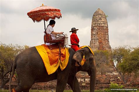 One of my fondest memories of Thailand, the elephant ride. | Elephant ride, Thailand elephants ...