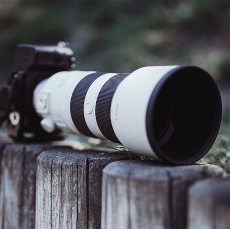 What is a Telephoto Lens? | Everything You Need to Know - FocusOnLens.com