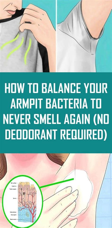 How To Balance Your Armpit Bacteria To Never Smell Again (No Deodorant Required)!!! - Living For ...