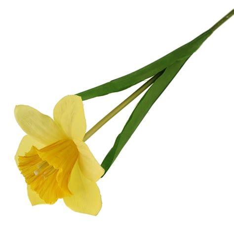 The Seasonal Aisle Daffodil Stem | Wayfair.co.uk