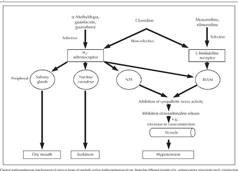 Centrally acting antihypertensives: a renaissance of interest ...