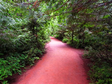 Trail of the Cedars | Outdoor Project