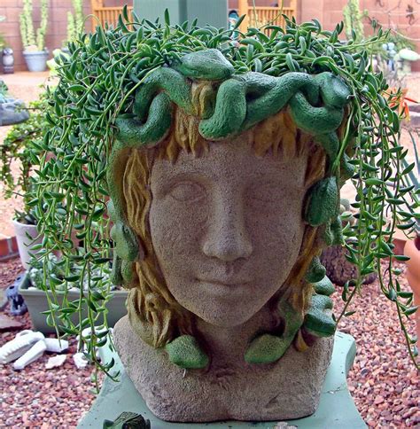 Medusa | Face planters, Head planters, Garden statues