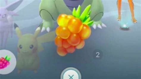 How to get Golden Razz Berries in Pokemon GO