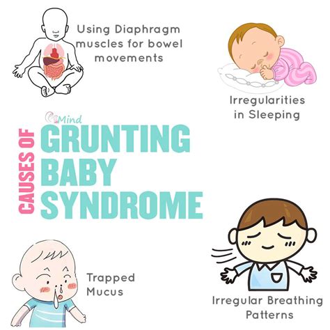 Grunting Baby Syndrome – Why is your Baby Grunting? – Crawling Baby