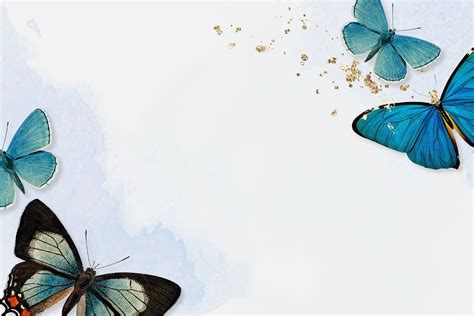 Blue butterfly border background | Premium Photo - rawpixel