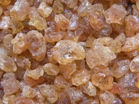 Acacia Senegal Gum for Skin - Skincare Benefits & Uses